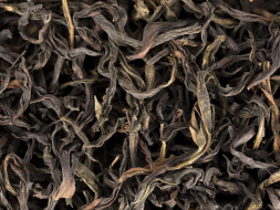 Zhi Lan Xiang Dan Cong (Pojedynczy krzew o zapachu pachnącej orchidei), АА, 2022