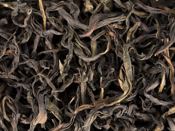 Zhi Lan Xiang Dan Cong (Pojedynczy krzew o zapachu pachnącej orchidei), АА, 2022