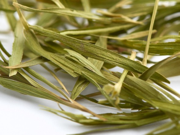 Liu Zhu Ye (Liście bambusa), A, 2024