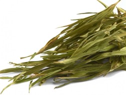 Liu Zhu Ye (Liście bambusa), A, 2024