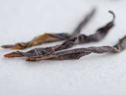 Zhou Gui Dan Cong, ААА, 2023