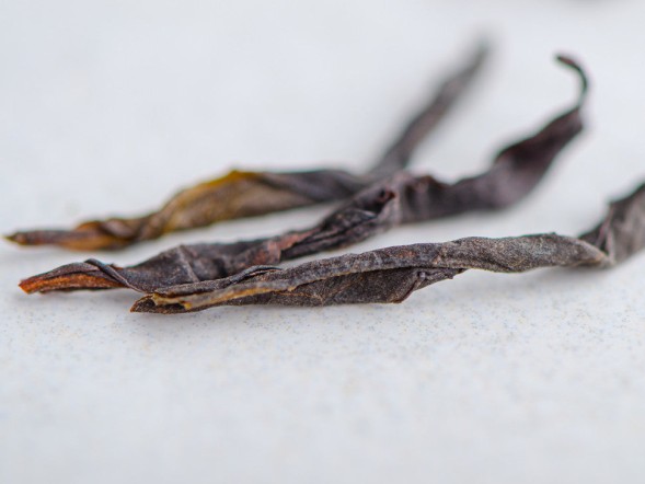 Zhou Gui Dan Cong, ААА, 2023