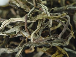 Zao Chun Mao Feng, AA, wiosna 2023