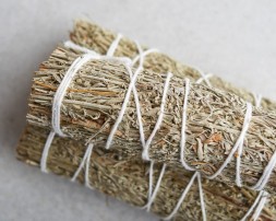 Szałwia kalifornijska błękitna mini, 11 cm