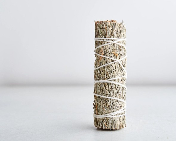 Szałwia kalifornijska błękitna mini, 11 cm