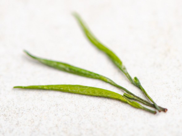 Zhu Ye Qing Bian Gua Zhu, AAA, wiosna 2024