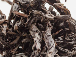 Fo Shou Gao Ho (Dłoń Buddy o silnym ogrzewaniu), АА, 2025