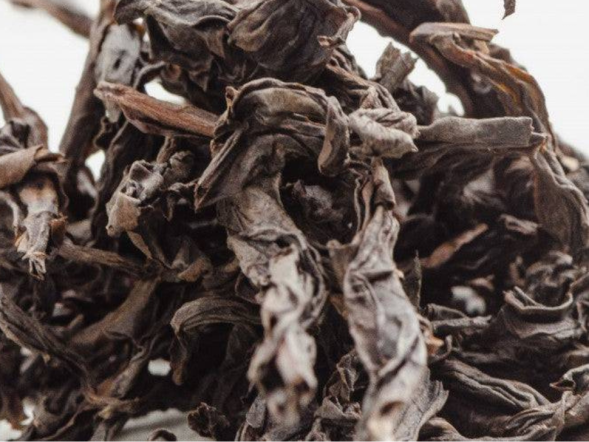 Fo Shou Gao Ho (Dłoń Buddy o silnym ogrzewaniu), АА, 2025