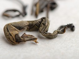 Indonezyjski Oolong, А, 2022