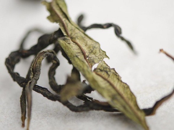 Ivan-chai, smoked in a sauna, 2024