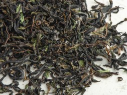 Zbiórka ziół Relaksująca, 2024