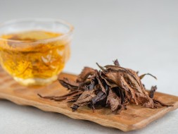 GABA Kwaśniak, АА, Tkibuli, Gruzja, 2024