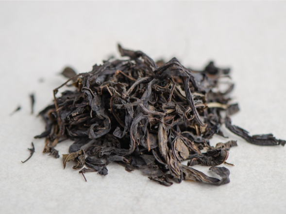 Iwan-czaj Leśny, 2024