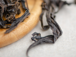 Iwan-czaj Leśny, 2024