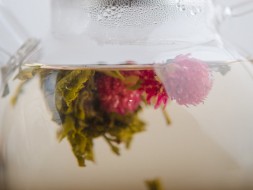 Kwitnąca bombonierka z kwiatami i aromatem mango &amp;quot;Beauty Tree&amp;quot;