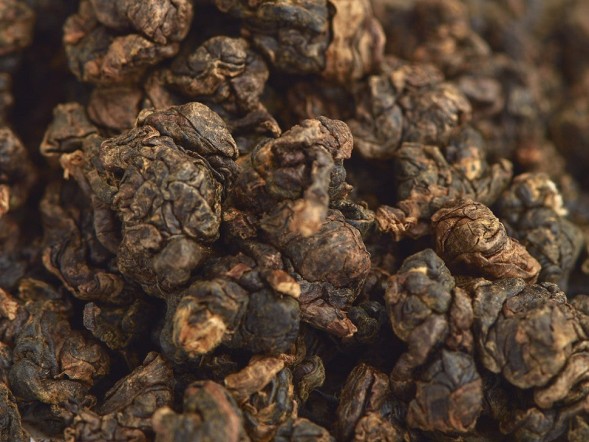 GABA Ali Shan (GABA z góry Ali), АА, 2019