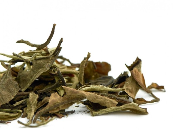 Yue Guan Bai (Białe światło księżyca), A, 2025