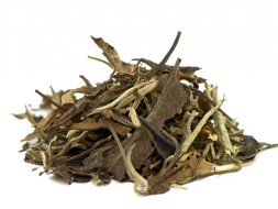 Yue Guan Bai (Białe światło księżyca), A, 2025