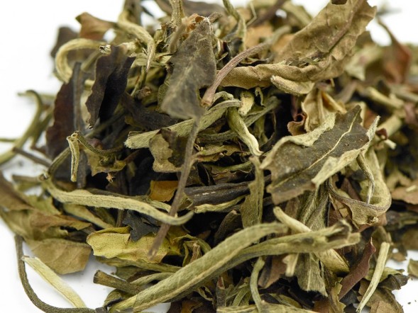 Yue Guan Bai (Białe światło księżyca), A, 2025