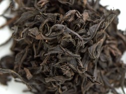 Mei Zhan (Śliwka wróżbiarstwa), A, 2022