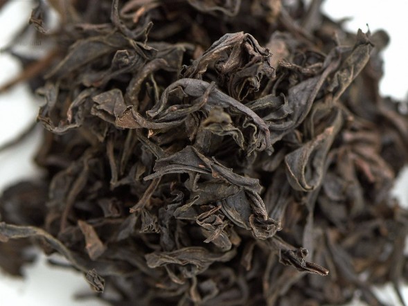 Mei Zhan (Śliwka wróżbiarstwa), A, 2022