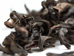 Mei Zhan (Śliwka wróżbiarstwa), A, 2022