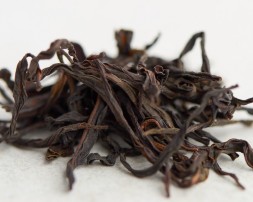 Song Zhong Dan Cong (Samotne krzewy odmiany sunskiej), AAA, 2025