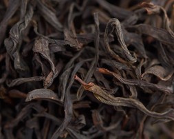 Song Zhong Dan Cong (Samotne krzewy odmiany sunskiej), AAA, 2025