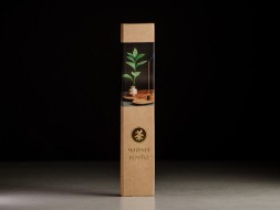 Zestaw kadzidełek chińskich Pingfeng, 20 szt.