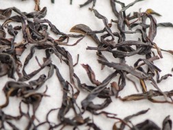 Zhi Long Kang Dan Cong (Zagroda dla kurczaka, lub Aromat paleniska), AAA, 2022