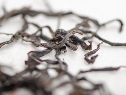 Zhi Long Kang Dan Cong (Zagroda dla kurczaka, lub Aromat paleniska), AAA, 2022