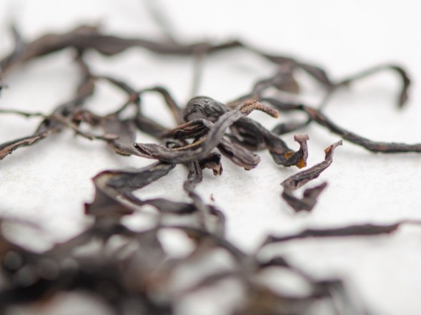 Zhi Long Kang Dan Cong (Zagroda dla kurczaka, lub Aromat paleniska), AAA, 2022