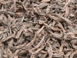 Te Lohan (Żelazny Arhat), ААА, 2025