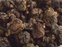 GABA Deep Blue (Błękitna otchłań), AA, 2022