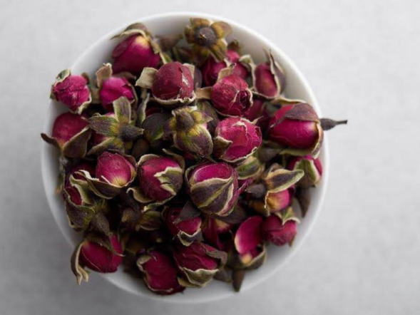 Jin Bian Mei Gui (Yunnan Rose), 2024