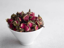 Jin Bian Mei Gui (Yunnan Rose), 2024