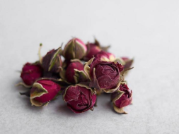 Jin Bian Mei Gui (Yunnan Rose), 2024