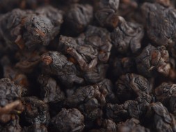 GABA Hei Ho (Czarny ogień), AA, 2019