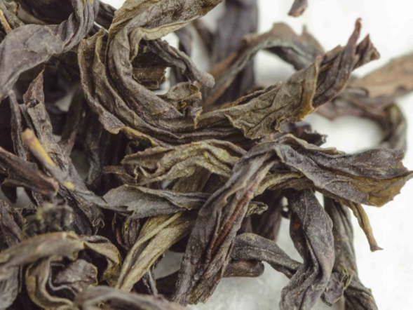 Jin Bien Qi Lan (Cudowna orchidea z wioski Jin Bien), AAA, 2022