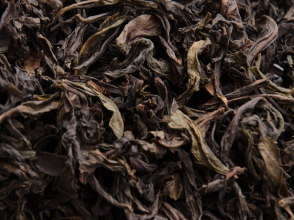 Jin Bien Qi Lan (Cudowna orchidea z wioski Jin Bien), AAA, 2022