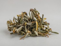 Sagan-Daila zimowy (Białe Skrzydło Szamana), АА, 2024