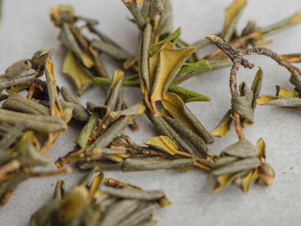 Sagan-Daila zimowy (Białe Skrzydło Szamana), АА, 2024