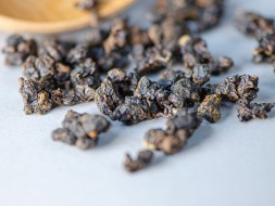 GABA Ganzai, AAA, 2025