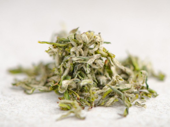 Mi Ya Suzhou Bi Luo Chun, AAA, wiosna 2025