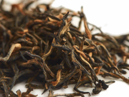 Jin Jun Mei (Złote brwi), AA, 2025 