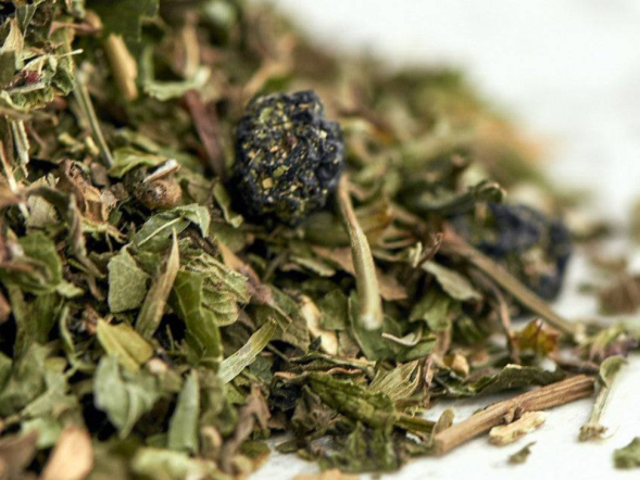 Zbiórka ziół ajurwedyjska Siła Umysłu, 2024