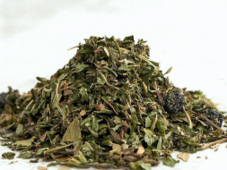 Zbiórka ziół ajurwedyjska Siła Umysłu, 2024