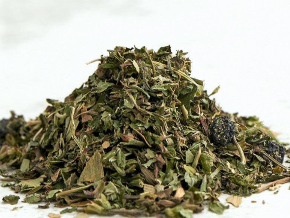 Zbiórka ziół ajurwedyjska Siła Umysłu, 2024