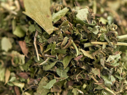 Zbiórka ziół ajurwedyjska Siła Umysłu, 2024