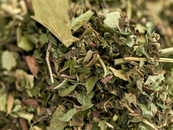 Zbiórka ziół ajurwedyjska Siła Umysłu, 2024